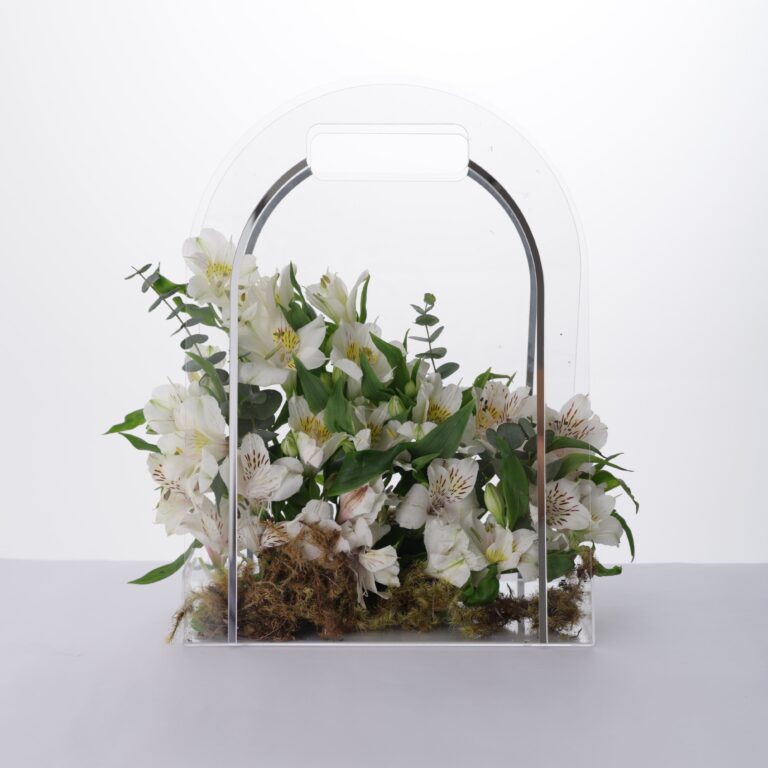 bolsa oval (1)